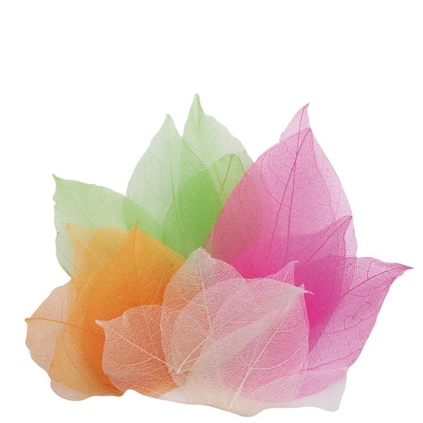 Autentyczne liście Magnolii 300 szt. — Eduplay zabawka edukacyjna przedszkole