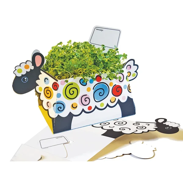 Doniczka Owca — Eduplay zabawka edukacyjna przedszkoła