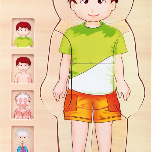 Wielowarstwowe Puzzle Anatomii - Chłopiec — Millhouse Zabawki edukacyjne Szkoła