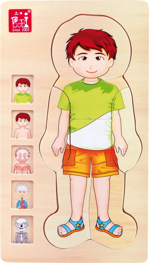 Wielowarstwowe Puzzle Anatomii - Chłopiec — Millhouse Zabawki edukacyjne Szkoła