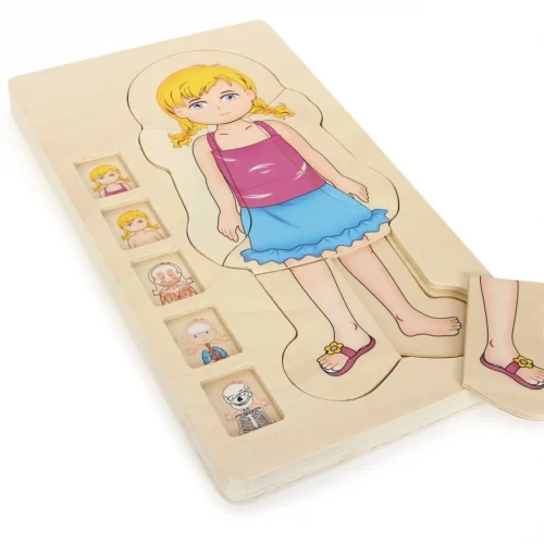 Wielowarstwowe Puzzle Anatomii - Dziewczyna — Millhouse Zabawki edukacyjne Szkoła
