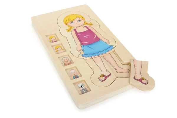 Wielowarstwowe Puzzle Anatomii - Dziewczyna — Millhouse Zabawki edukacyjne Szkoła